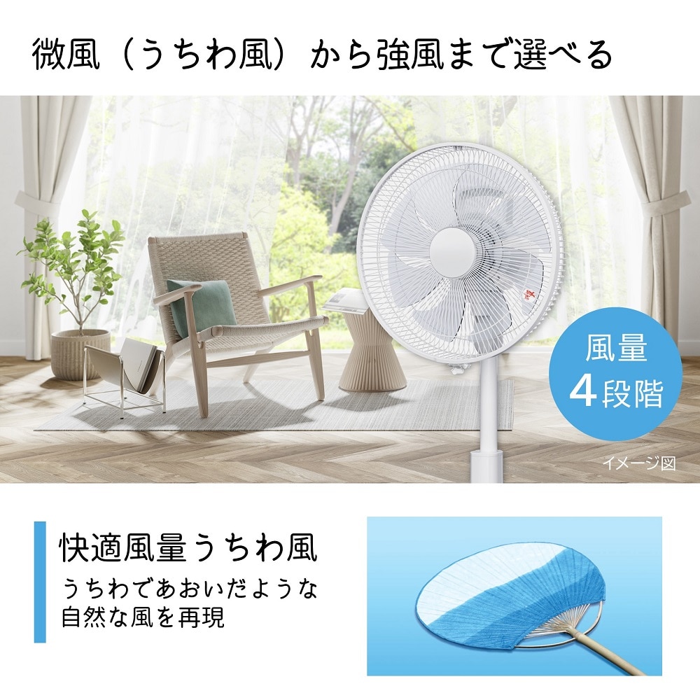 アウトレット】扇風機（リビング扇 ACモーター搭載）HEF-AL300F(なし