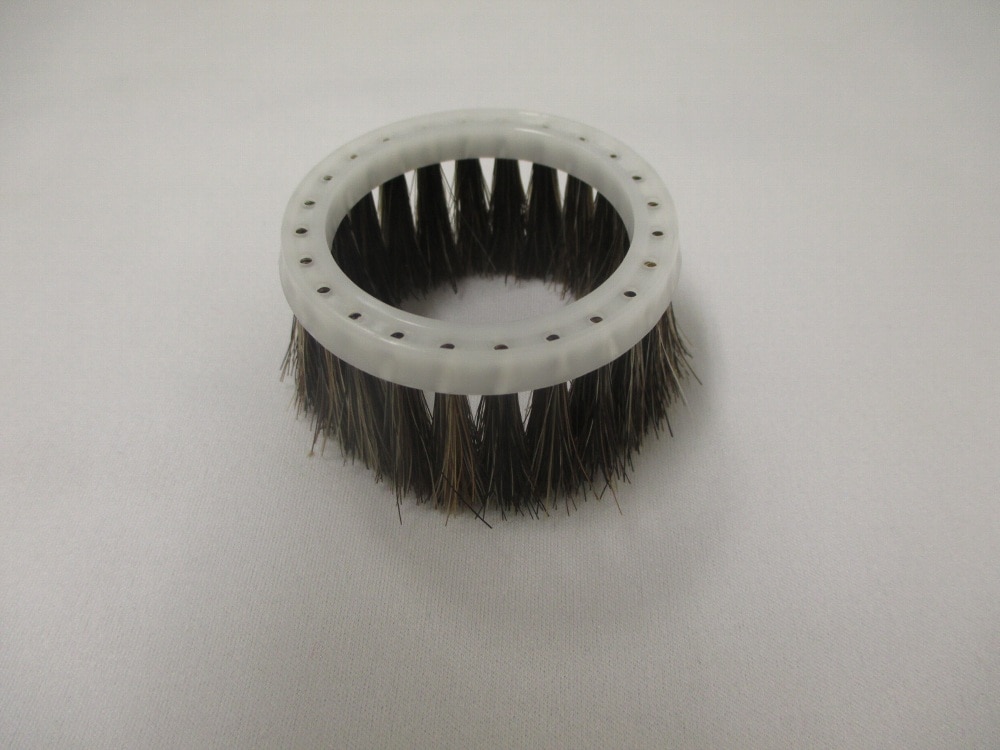 ハケ（タナヨウスイクチヨウ）（Ｕ３１）