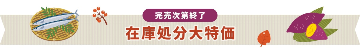 完売次第終了 在庫処分大特価