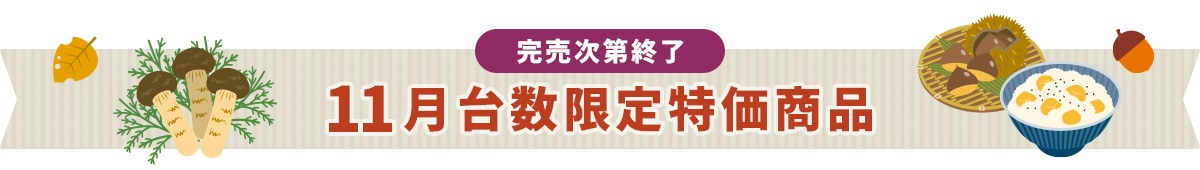 完売次第終了 11月台数限定特価商品